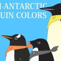 Постер аниме Цвета антарктических пингвинов