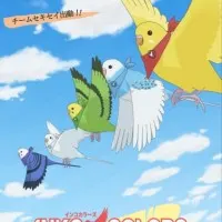 Постер аниме Разноцветные попугаи